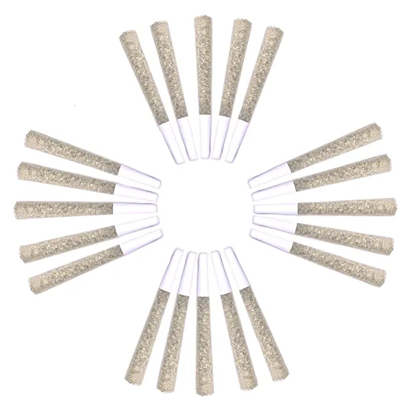 Image for Royal Assembly: The Summit Pre-Roll