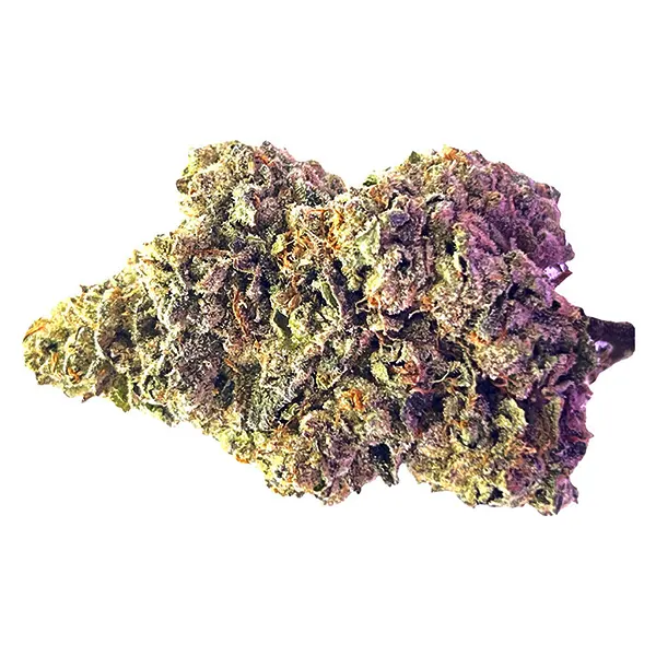 Bud image for Royal Dive #7: Scarface OG, cannabis all products by HighXotic