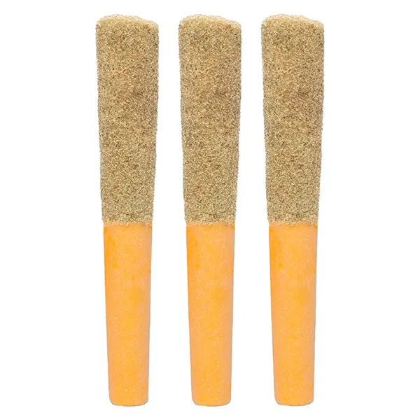 Silky Citrus Inf..