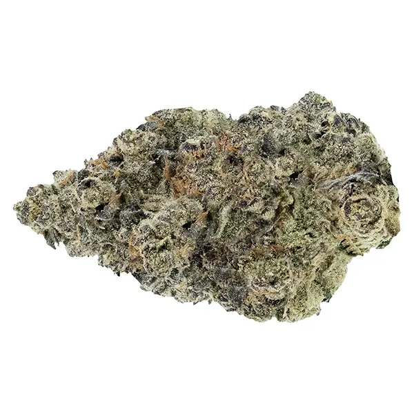 Bud image for Sunset Sherbet Craft Flower, cannabis dried flower by Woody Nelson