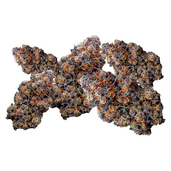 Bud image for Tropical Pressure, cannabis dried flower by Your Highness