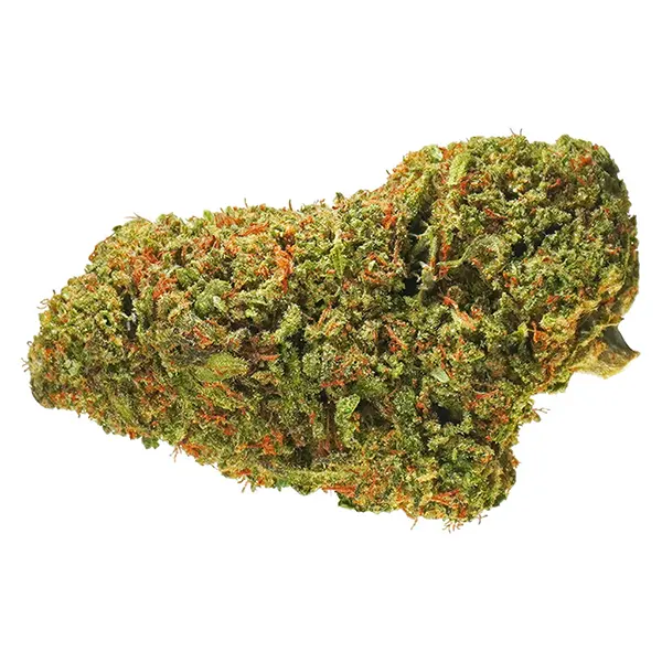 Bud image for Tropicanna, cannabis dried flower by 1964