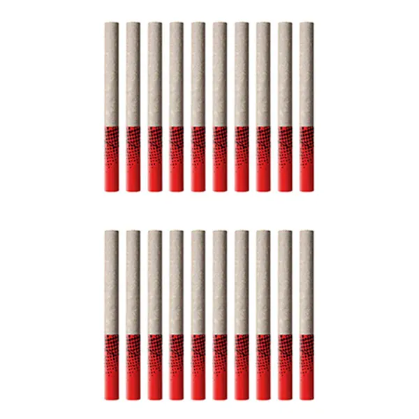 Image for Tropicanna Tangie Tube Style Pre-Roll, cannabis pre-rolls by Big Bag O' Buds