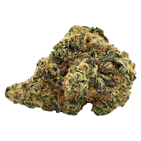 Bud image for Truffle Treats, cannabis all products by Truro