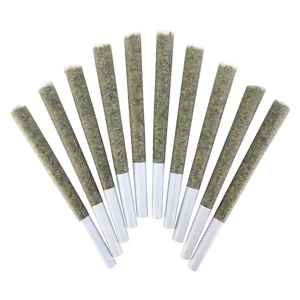 Image for VelcroZ Pre-Roll, cannabis all products by BC Doobies