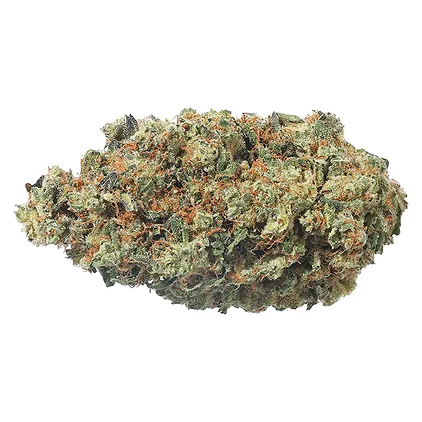 Bud image for Bangerine, cannabis dried flower by Grass