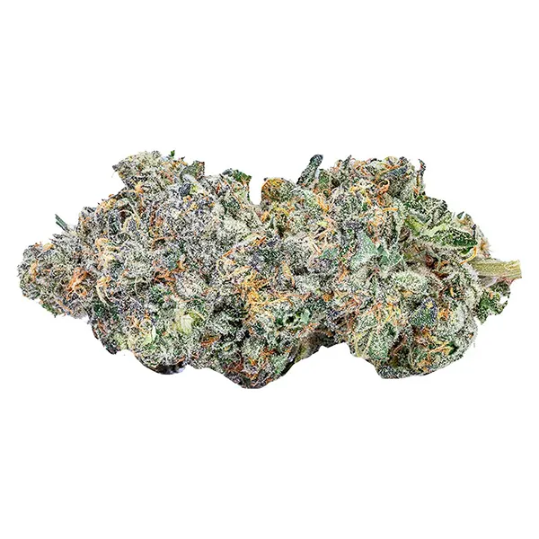 Bud image for Daft Phunk, cannabis all products by Sixty Seven Sins