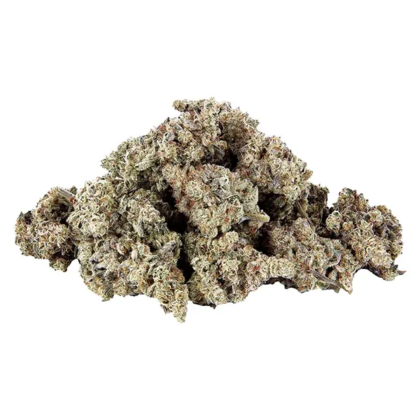 Bud image for The Showcase, cannabis dried flower by Selected.