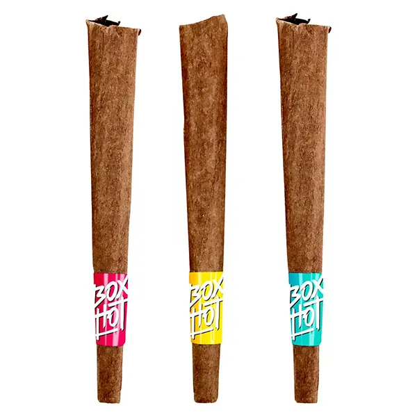 Image for Fatties Vol. 2 Infused Blunt Variety Pack, cannabis all products by BoxHot