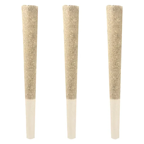 Image for Fool's Gold Pre-Roll, cannabis all products by Seeker