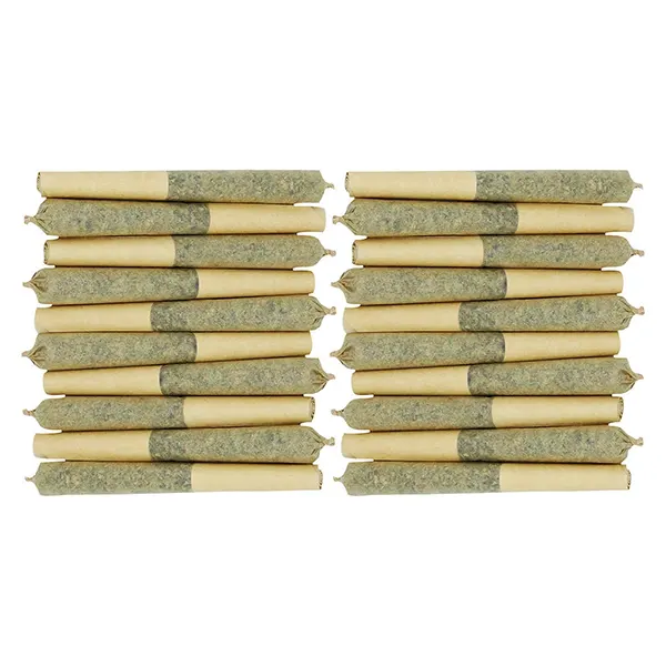 Image for Frenchy Macaroni Pre-rolls, cannabis all products by Starting Point