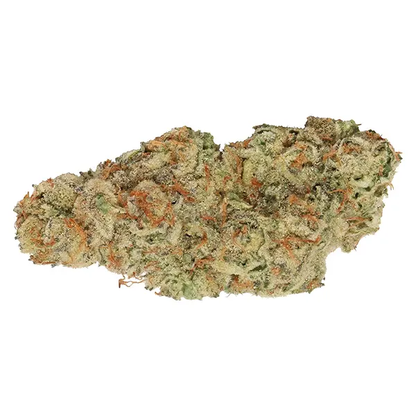 Bud image for Garlic Mintz, cannabis all products by Tuck Shop