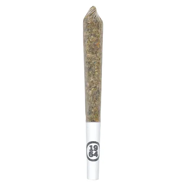 Image for Gasolina Pre-Roll, cannabis pre-rolls by 1964
