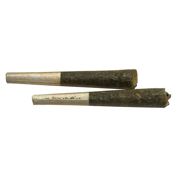 Image for Golden Goosebumps Infused Pre-Roll, cannabis all products by The Oz Store