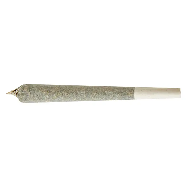 Image for Sugar Shed Double Infused Pre-Roll, cannabis all products by Shed Boyz