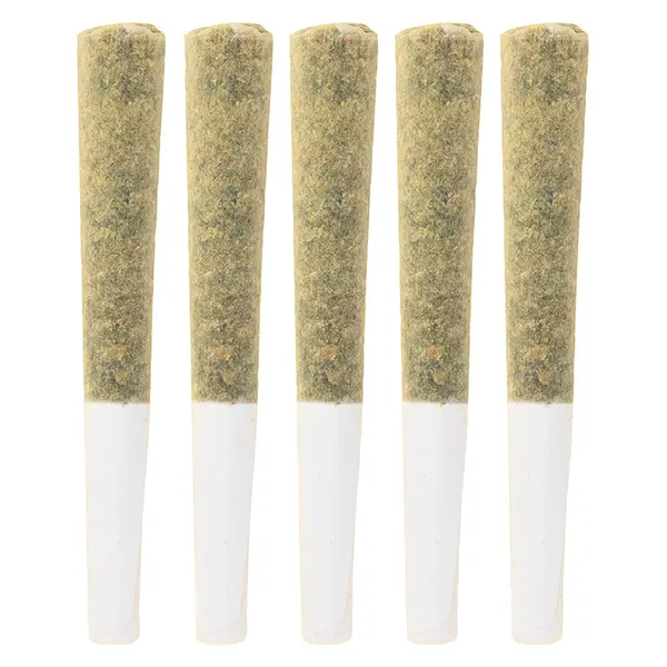 Fresh Baked Rolls (Pre-Rolls) by MaryJane's