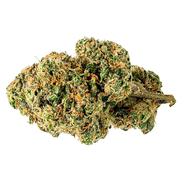 Bud image for Indica Ounce, cannabis all products by SESH