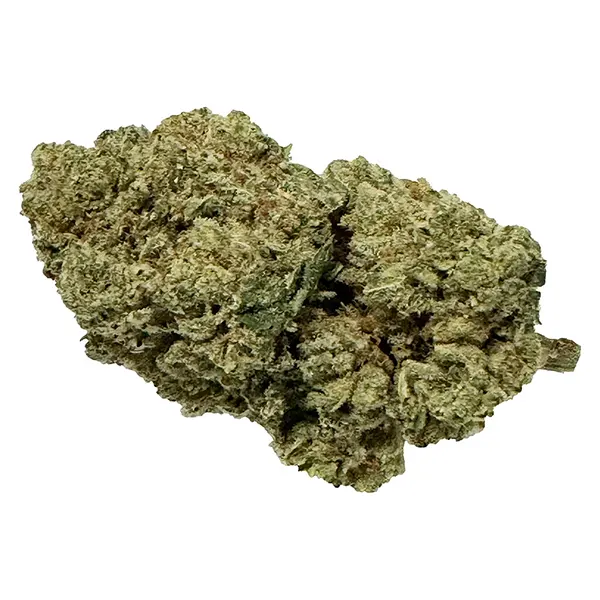 Bud image for Mango Tango, cannabis all products by Fruit Drops
