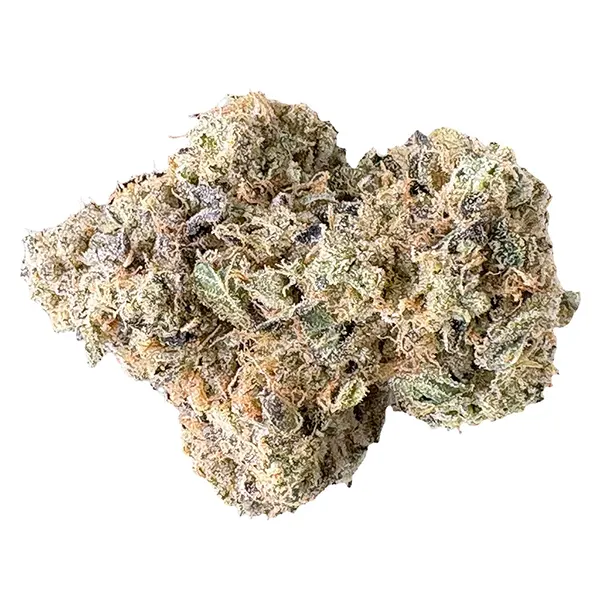 Bud image for Medellin, cannabis dried flower by LaHoja