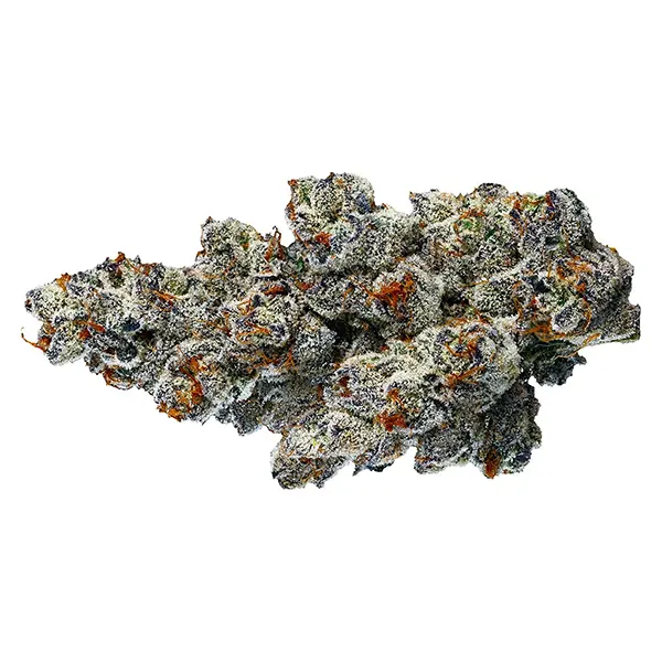 Organic Bling Bl..
