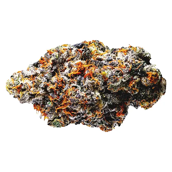 Bud image for Organic Lemon Cherry Pie Craft Flower, cannabis dried flower by Woody Nelson