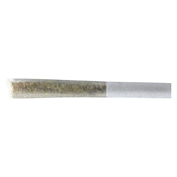 Image for Permanent Gusher Pre-Roll