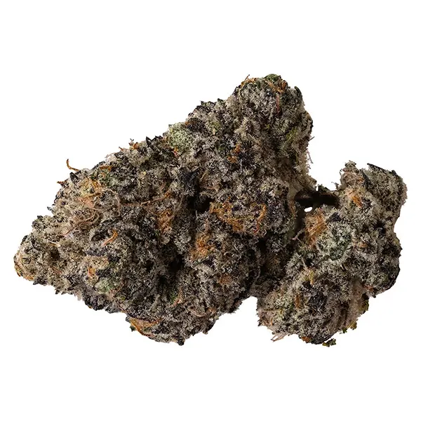 Bud image for Pink Rockstar, cannabis all products by Pistol and Paris