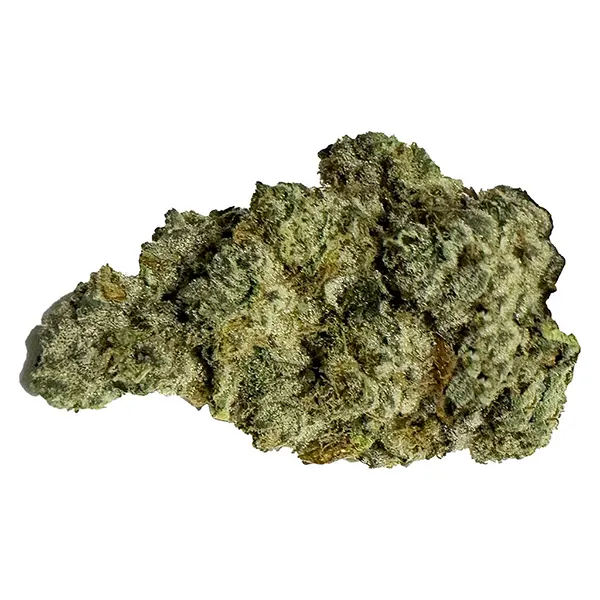 Bud image for Runt Puncher, cannabis all products by Terp Town Collective