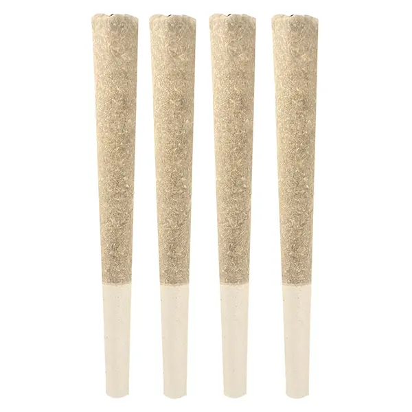 Image for Sativa Pre-Roll, cannabis pre-rolls by Stunnerz