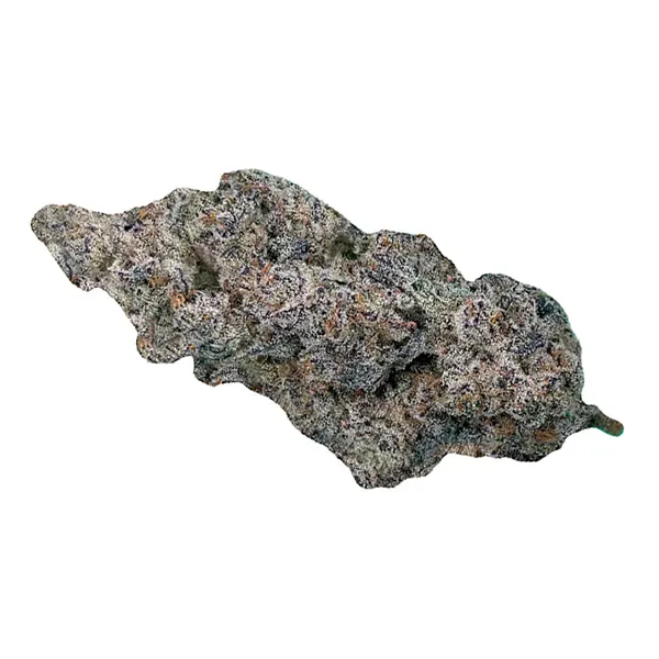 Bud image for Truffaloha, cannabis dried flower by Cultures Chloris