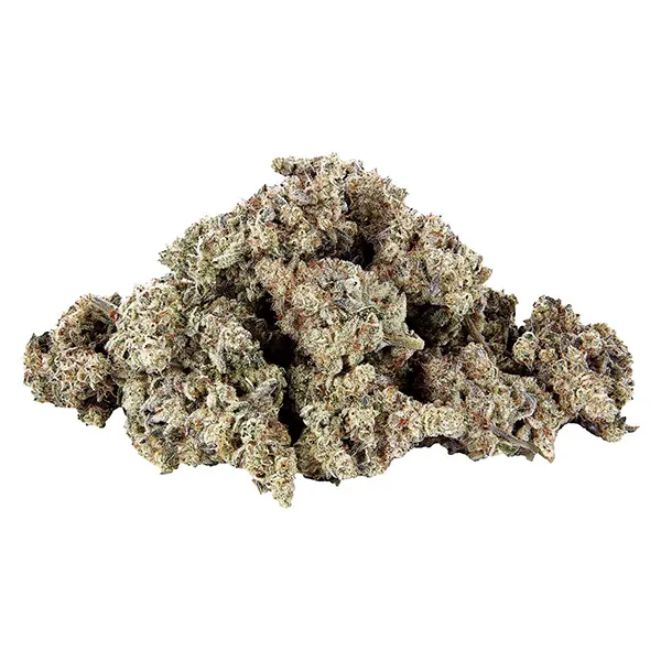 Bud image for The Daily, cannabis dried flower by Selected.