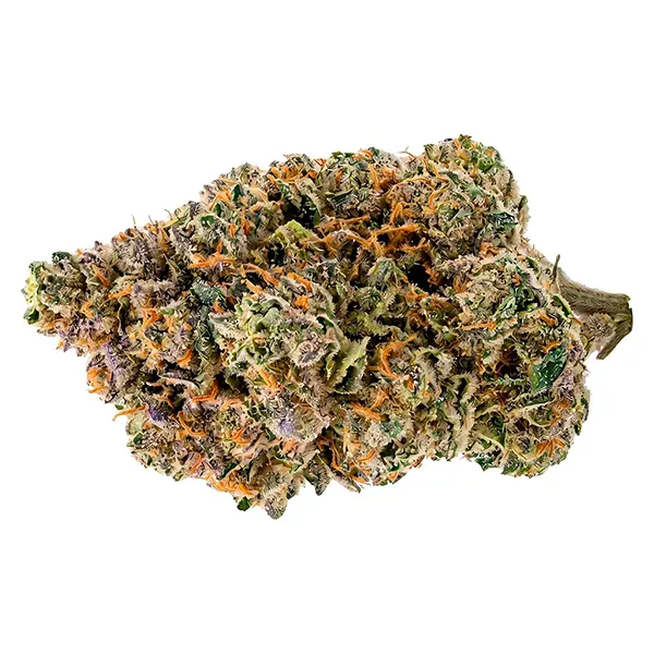 Bud image for Sativa, cannabis all products by PayLess
