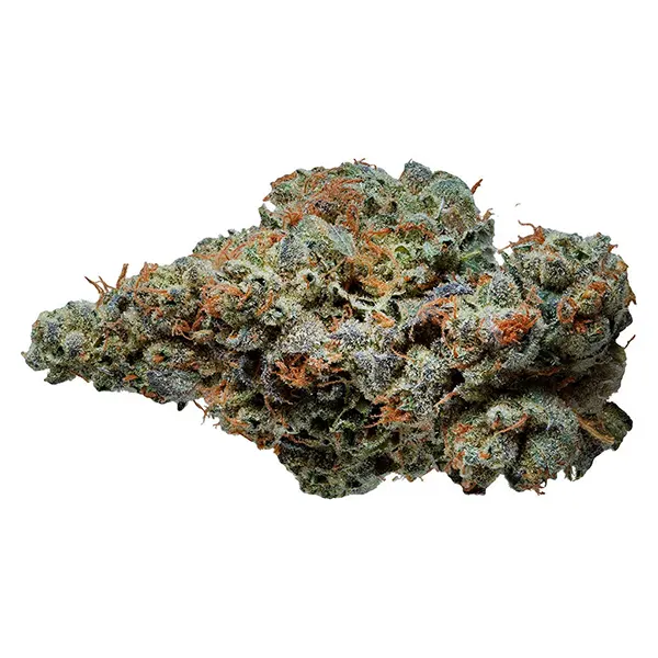 Bud image for Award-Winning Craft Flower, cannabis dried flower by Supernova Farms