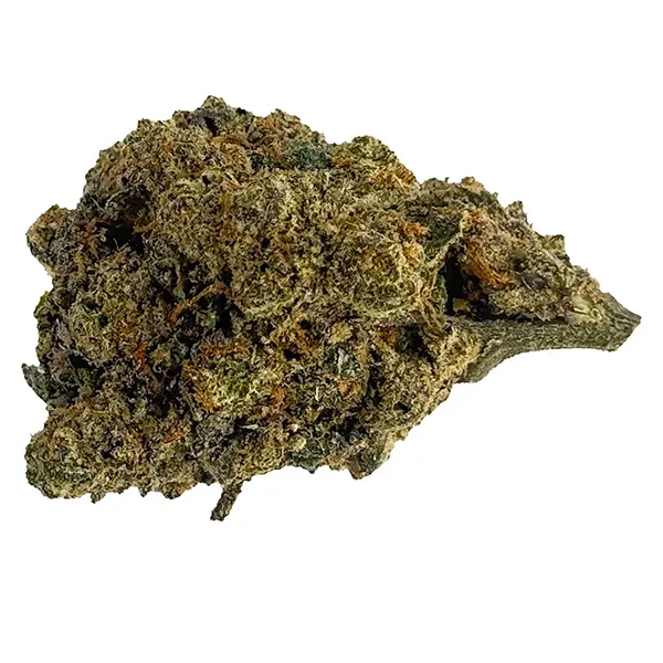 Bud image for Banana Jealousy, cannabis dried flower by The Oz Store
