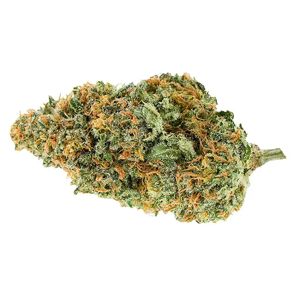 Bud image for BC Organic Plumz, cannabis dried flower by Simply Bare