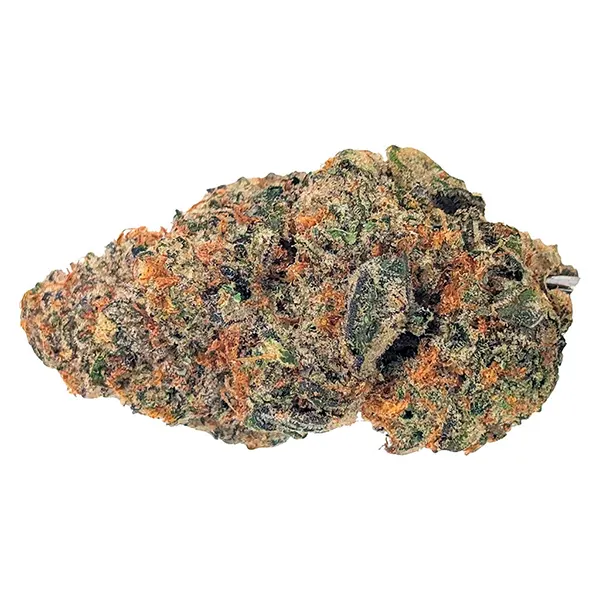 Plant Bud by Simply Bare