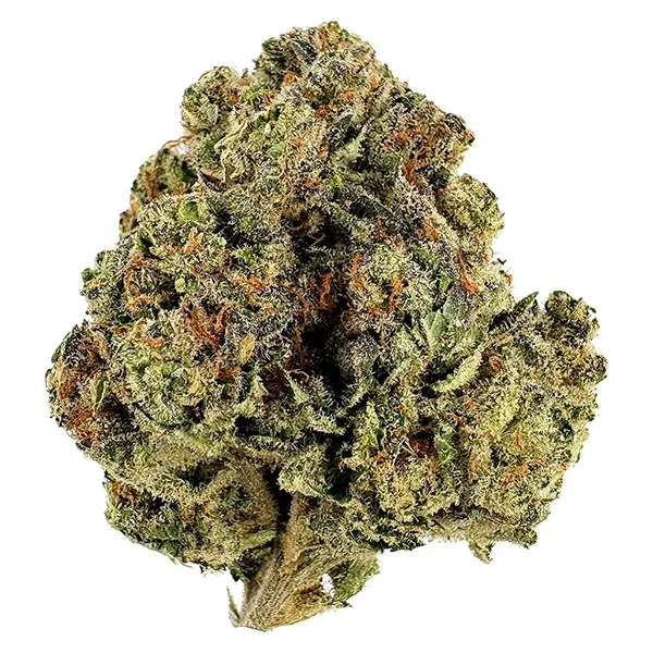 Bud image for Blackberry Chem, cannabis dried flower by 3Saints