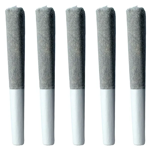 Image for Blackberry Chem Pre-Roll