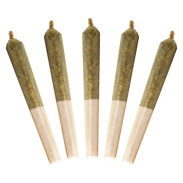 Image for Black Cherry Punch Bubble Hash Infused Pre-Roll, cannabis pre-rolls by Buddy Blooms