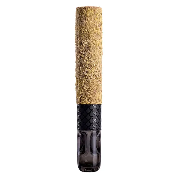 Image for Black Dragon Glass Tipped Cannon BLNT Infused Pre-Roll, cannabis all products by Tenzo