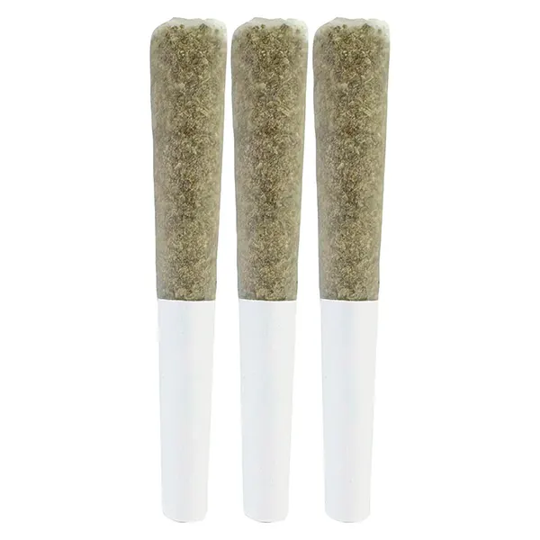 Image for BRAIN FRUIT Live Rosin Infused Pre-Roll, cannabis pre-rolls by The Goo!