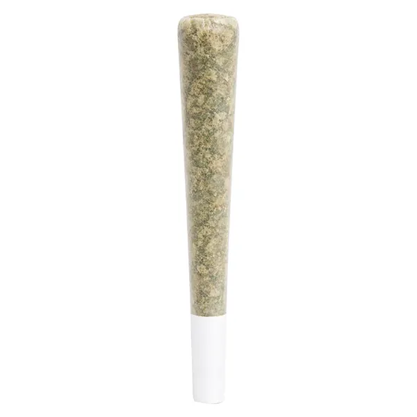 BRAIN FRUIT Live Rosin Infused Pre-Roll (Pre-Rolls) by The Goo!