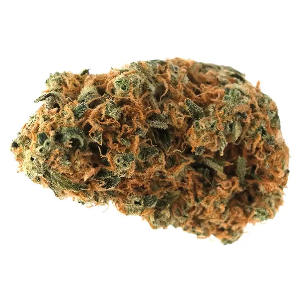 Bud image for Sage N Sour, cannabis dried flower by The Collection