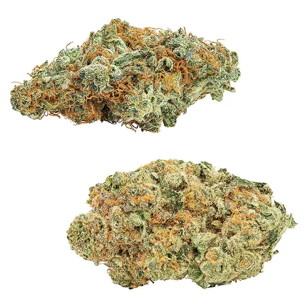 Bud image for Comboz: Amnesia OG & Tropicanna Tangie, cannabis dried flower by Big Bag O' Buds
