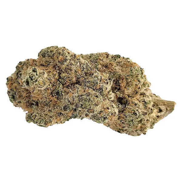 Bud image for Dante's Inferno #8, cannabis dried flower by The Oz Store