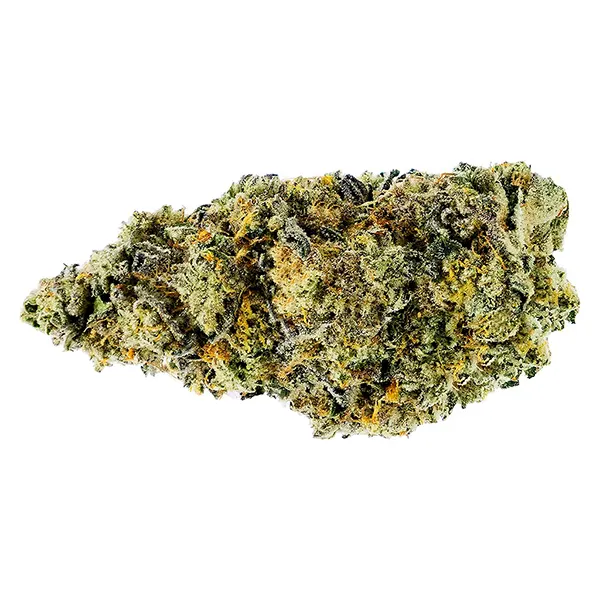 Bud image for Dark Rainbow Craft Flower, cannabis dried flower by Woody Nelson