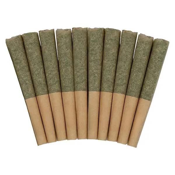 Image for Day Tripper Pre-Roll