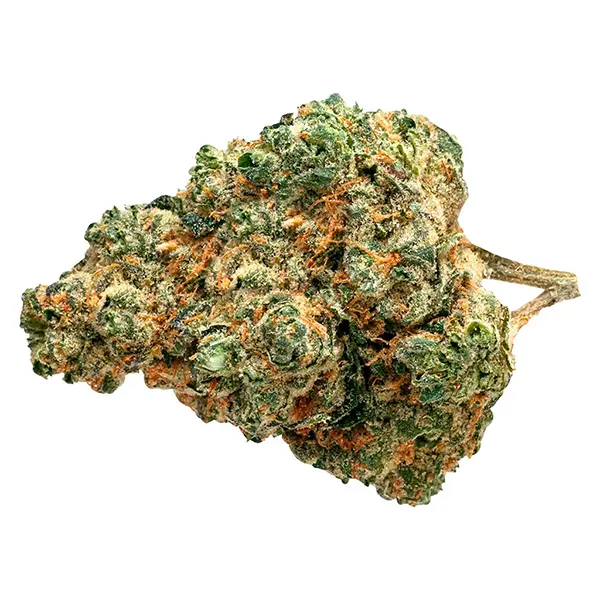 Bud image for Day Tripper, cannabis dried flower by Pure Sunfarms