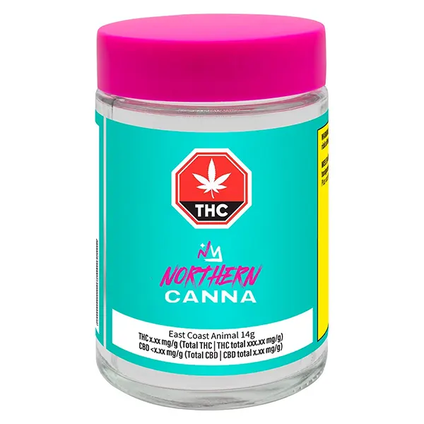 East Coast Animal (Dried Flower) by Northern Canna
