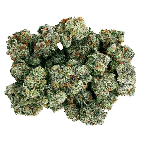 Bud image for Frenchy Macaroni, cannabis dried flower by Starting Point